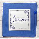 Funda Tusor 50x50 pack x2